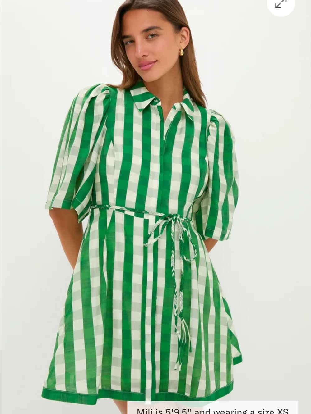 Tuckernuck Hyacinth House Green Gingham Cindy Mini Dress